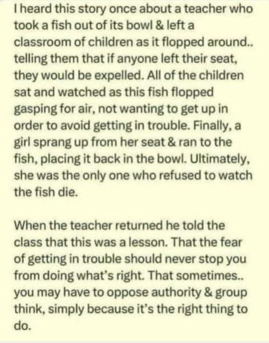 Screenshot_20240331_093101_Facebook