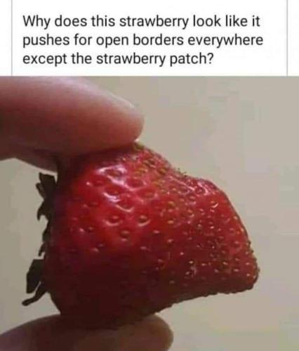 IMG_20240322_012033_064