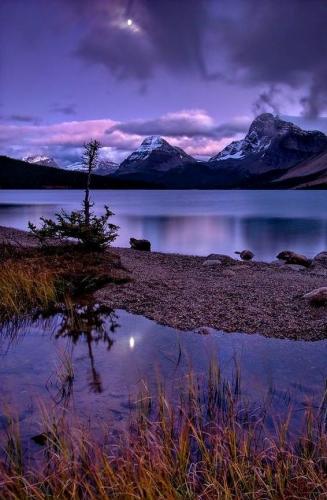 Peaceful lake in the evening