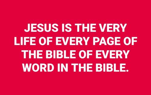 824a52a5-56b5-4a04-9159-246353493716