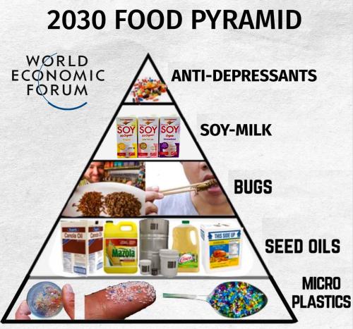 2030 food pyramid