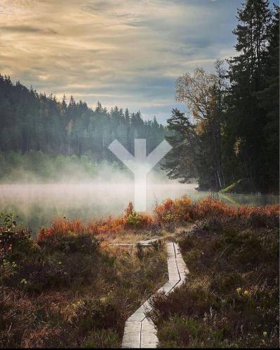 IMG_20240318_223158_839