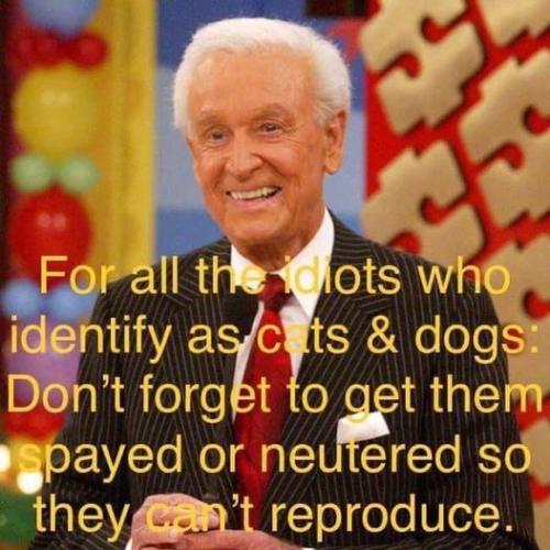 spayed or neutered