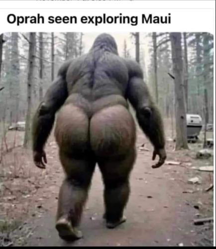 FB_IMG_1709493259535