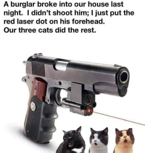 FB_IMG_1711111237857