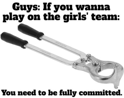 Speaking of tool time