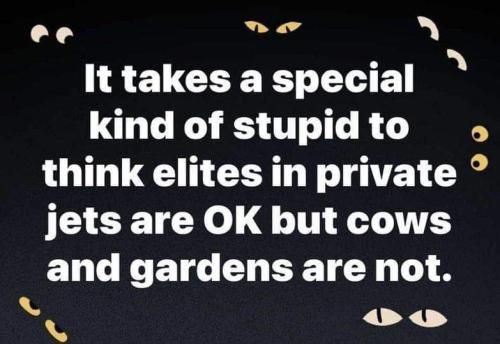 FB_IMG_1709916317598