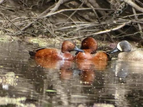 17:51:07 GMT-0500 (CDT)