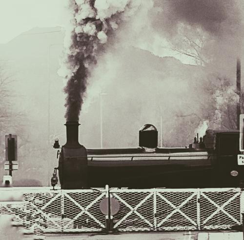 IMG_20240224_145310901-02