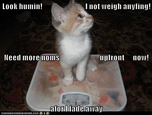 f7f2ca99829929476b5007d5d8255f61