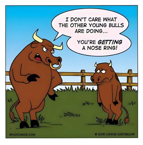 nose ring