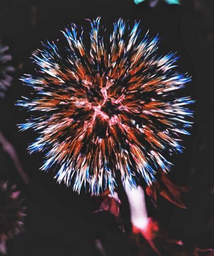 PicsArt_07-08-04.55.35-01