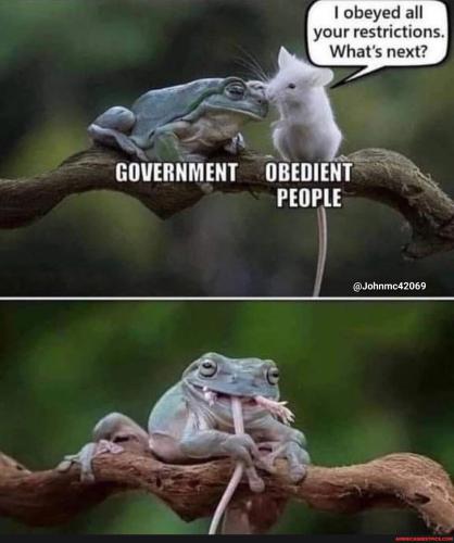 2451d557868d8c68688a865572c971770dd01a727ea08735248b281f1cd2d9ec_1