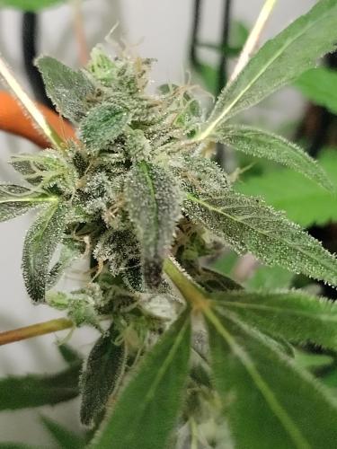 IMG_20240324_185359_HDR