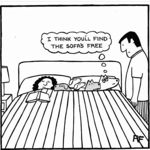 IMG_20240320_171733_668