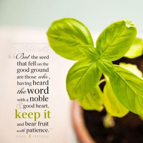 FAITH - Luke 8.15