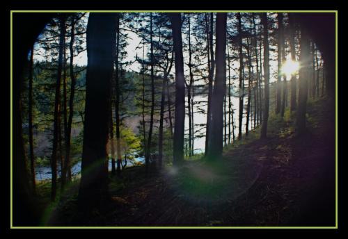 Picsart_24-03-16_01-27-44-799