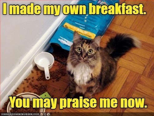 made-my-own-breakfast-may-praise-now-icanhascheezburgercom