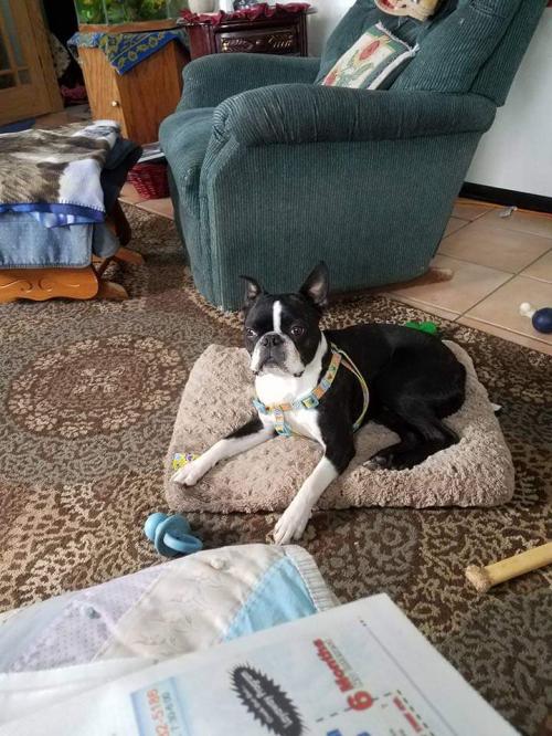 FB_IMG_1711177936177