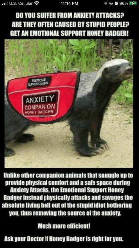 a7e4ae81f82fbcd3f6001516f9380506