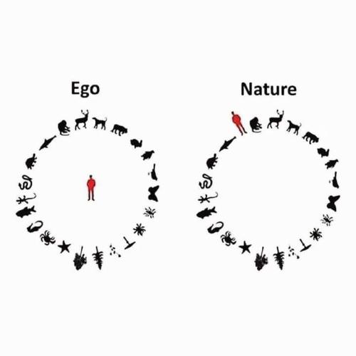 430668769_360953456768335_3478672956995152891_n