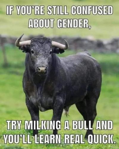 496d0e47b008a4febc0d328139d8efc8