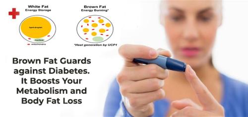 Brown Fat helps Diabetes