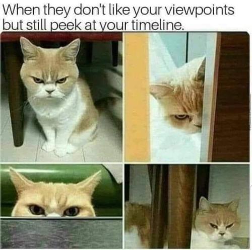 FB_IMG_1709803651667