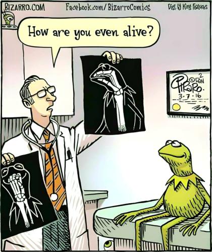 FB_IMG_1710956133197