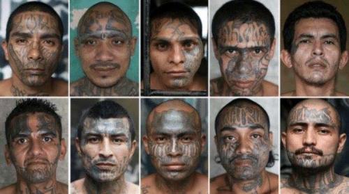 ms13 dreamers