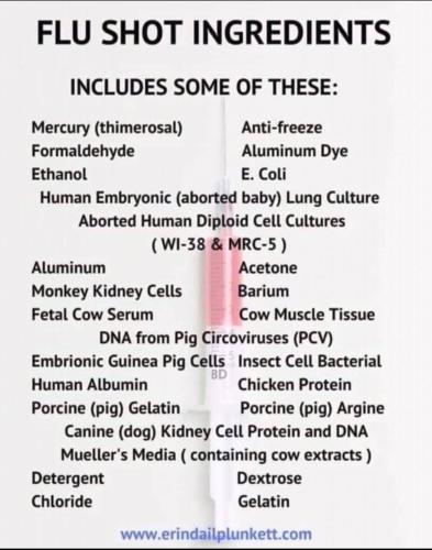 Flu shot ingredients