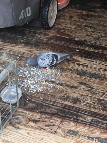 E2364EC8-81B5-4330-BED0-C1F4BEE126E9