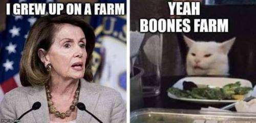 7193b94e5ff1c135d7a3f95d856c37c6