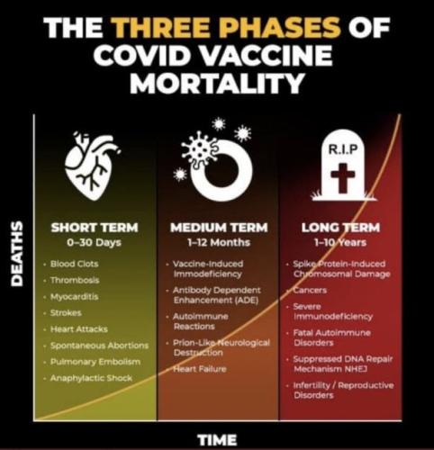 Covid Mortality Timeline