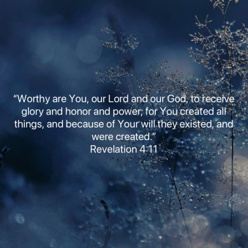 FAITH - Revelation 4.11 NASB