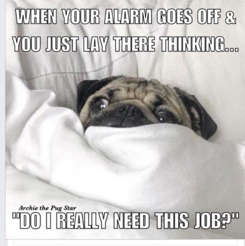 5960814e57a59c5312beeb73a4896c1f