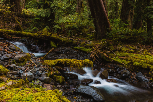 cQ1a8q5YQ69vO6wP4tkuCzpi5