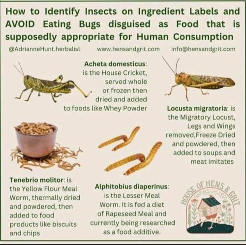 how to identify
