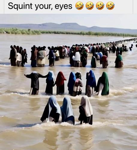 14674BD8-6B13-4CD8-AC02-8D36520B2593