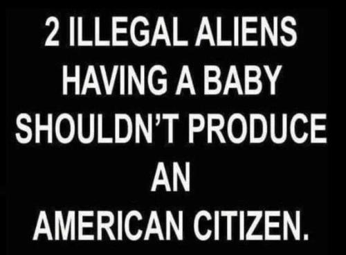 sngine_95272237468f930a4e8e1402225bd77e