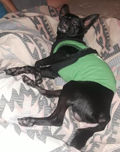 71fb081b-cc36-4d52-89b7-f75ca4092525