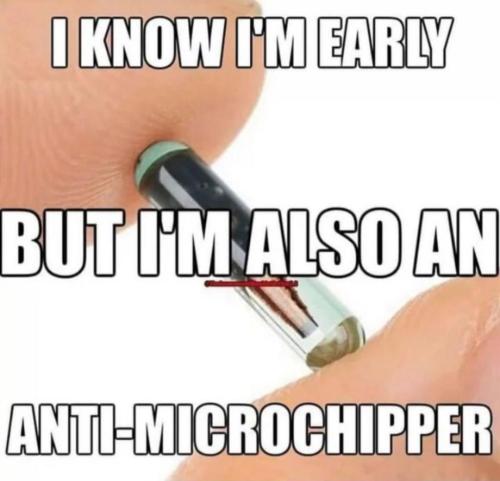 img - 2023-04-09T203422.568