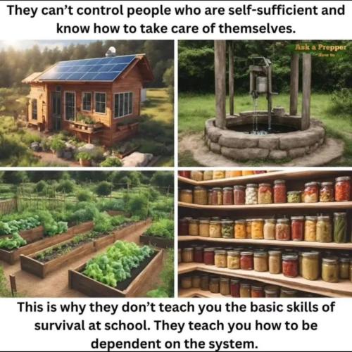 photo_2024-03-05_09-36-27