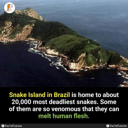 FB_IMG_1710532167724