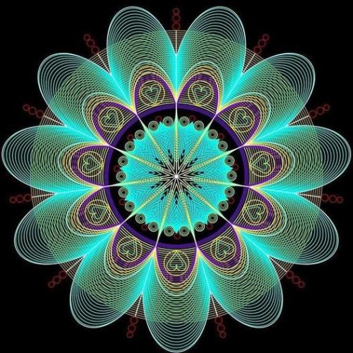 ,     ,           328625073_1312793