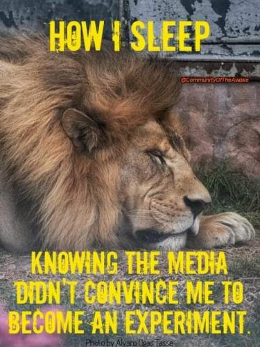 FB_IMG_1711211487943