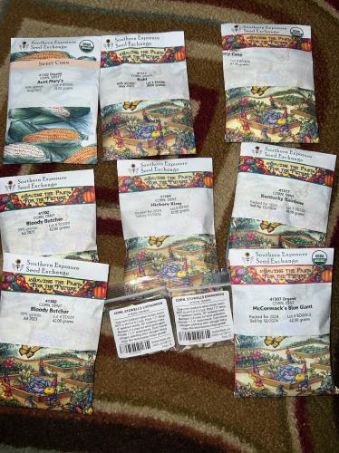 29D4713F-3E26-4B9A-81F8-DE4C19A5417B