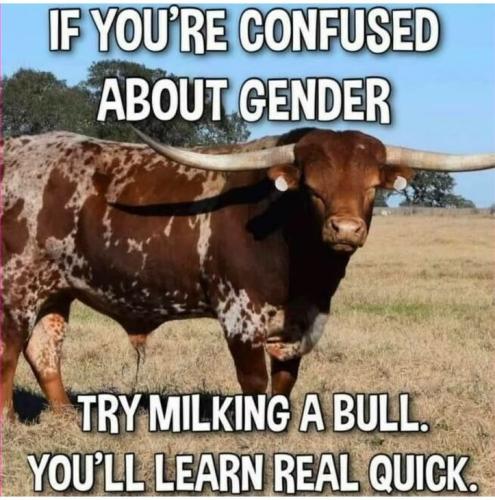 gender
