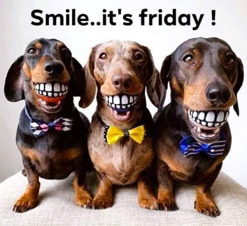 FB_IMG_1709928449514