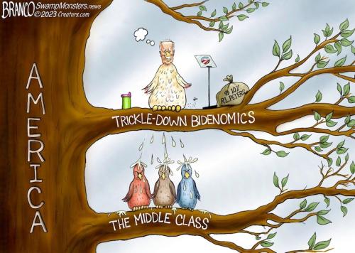 BRANCO BIDENOMICS SHIT